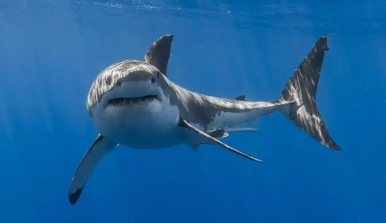 青岛启创源工机械制造有限公司轮播图1