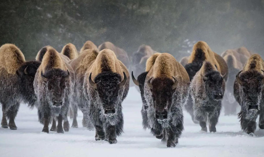 青岛启创源工机械制造有限公司轮播图3